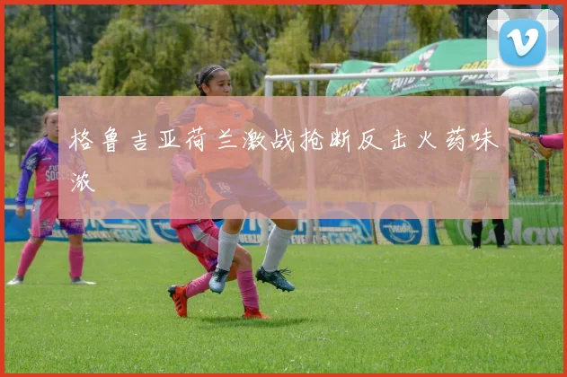 格鲁吉亚荷兰激战抢断反击火药味浓