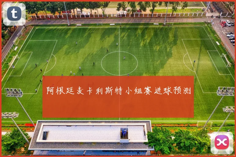 阿根廷麦卡利斯特小组赛进球预测