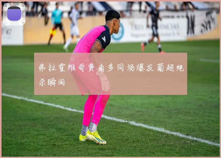 弗拉霍维奇费南多同场爆发葡超绝杀瞬间