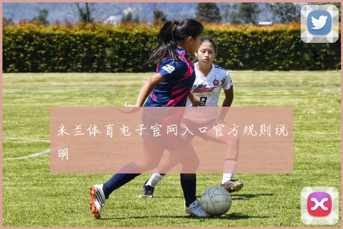 米兰体育电子官网入口官方规则说明