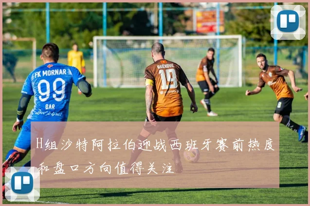 H组沙特阿拉伯迎战西班牙赛前热度和盘口方向值得关注