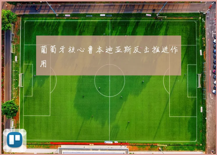 葡萄牙核心鲁本迪亚斯反击推进作用