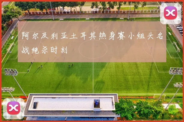 阿尔及利亚土耳其热身赛小组头名战绝杀时刻