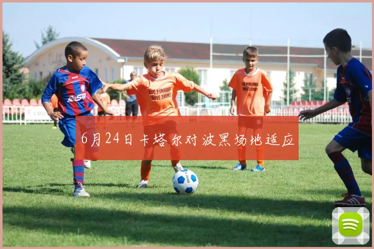 6月24日卡塔尔对波黑场地适应